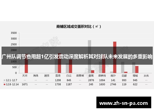 广州队调节费用超1亿引发震动深度解析其对球队未来发展的多重影响