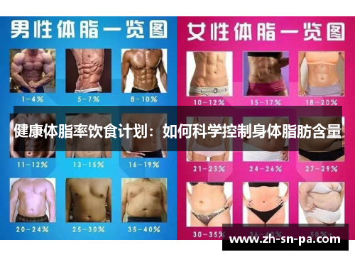 健康体脂率饮食计划：如何科学控制身体脂肪含量