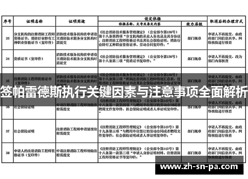 签帕雷德斯执行关键因素与注意事项全面解析