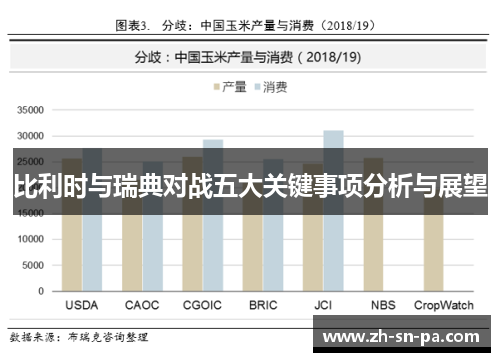 比利时与瑞典对战五大关键事项分析与展望