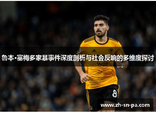 鲁本·塞梅多家暴事件深度剖析与社会反响的多维度探讨