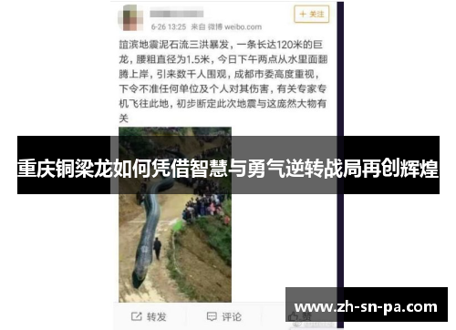 重庆铜梁龙如何凭借智慧与勇气逆转战局再创辉煌 重庆铜梁龙如何凭借智慧与勇气逆转战局再创辉煌
