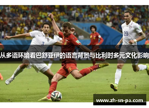 从多语环境看巴舒亚伊的语言背景与比利时多元文化影响