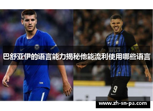 巴舒亚伊的语言能力揭秘他能流利使用哪些语言
