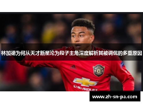 林加德为何从天才新星沦为段子主角深度解析其被调侃的多重原因