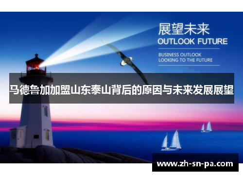 马德鲁加加盟山东泰山背后的原因与未来发展展望