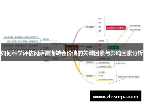如何科学评估冈萨雷斯转会价值的关键因素与影响因素分析