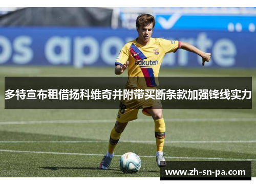 多特宣布租借扬科维奇并附带买断条款加强锋线实力 多特宣布租借扬科维奇并附带买断条款加强锋线实力