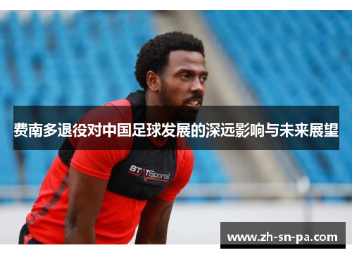 费南多退役对中国足球发展的深远影响与未来展望
