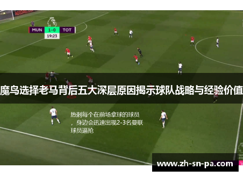 魔鸟选择老马背后五大深层原因揭示球队战略与经验价值
