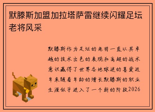默滕斯加盟加拉塔萨雷继续闪耀足坛老将风采 默滕斯加盟加拉塔萨雷继续闪耀足坛老将风采